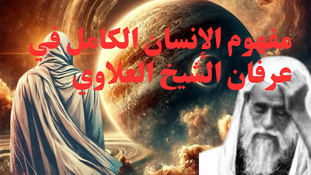 الأرنب ووحوش الغابة 15