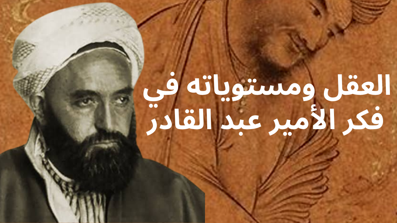 القل ومستوياته في فمر الأمير عبد القادر 2