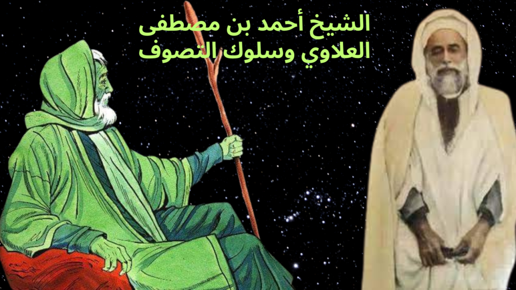 القل ومستوياته في فمر الأمير عبد القادر 6 1024x576