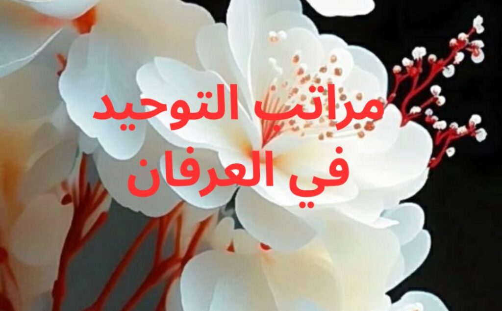 sans titre (1082 x 670 px) (3)