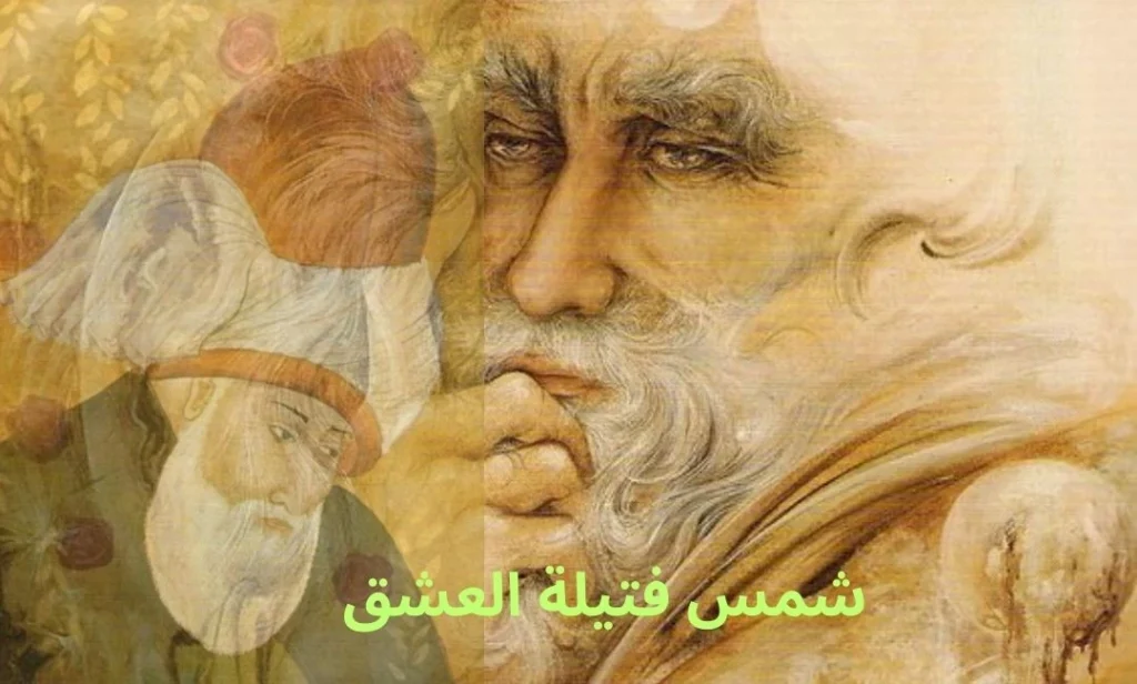 sans titre (1080 x 650 px) (13)